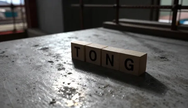 装卸搬运设备在搬家场景中的性能表现与适用条件分析